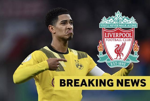 国安夺冠晋级亚冠精英附加赛，保底奖金80万美元背后的机遇与挑战（国安封王跻身亚冠精英附加赛：80万美元保底奖金的红利与压力）